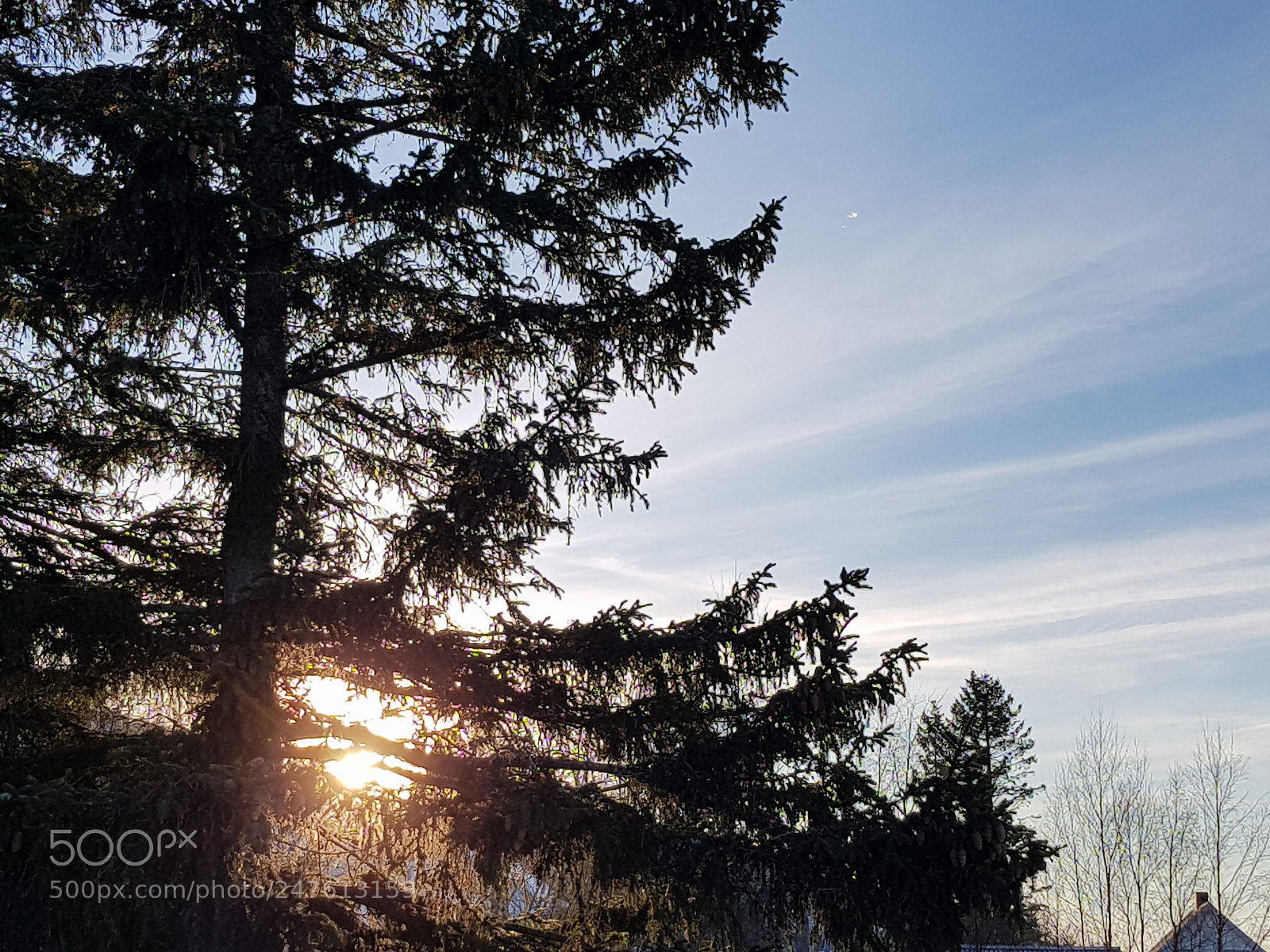 Samsung Galaxy S8 sample photo. Evening sun photography