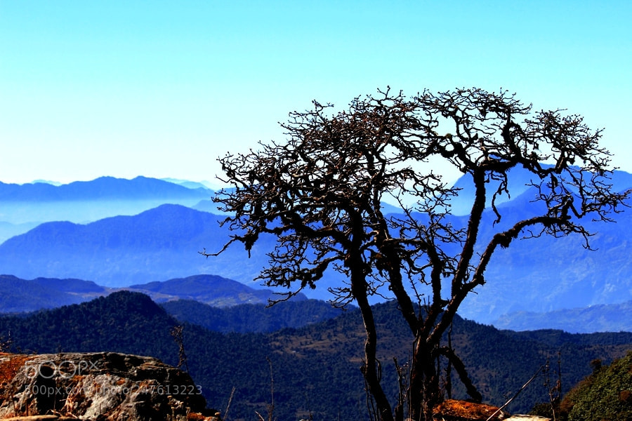 Canon EOS 7D sample photo. Mg photography