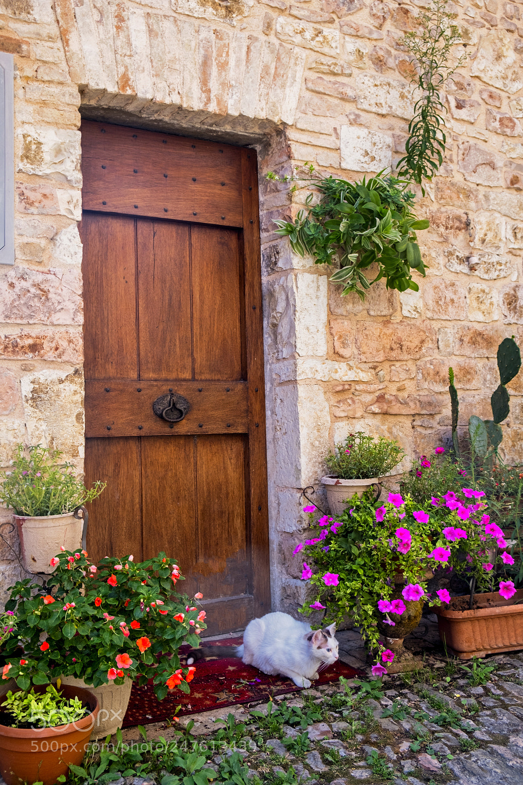Fujifilm X-T2 sample photo. Spello, perugia, medieval city photography