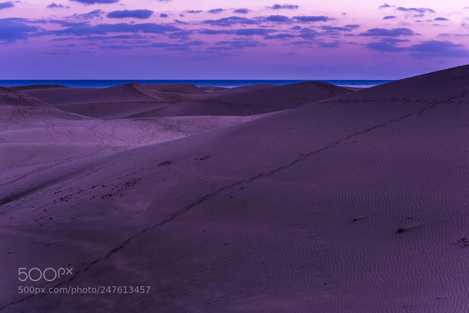 Nikon D810 sample photo. Maspalomas dunes photography