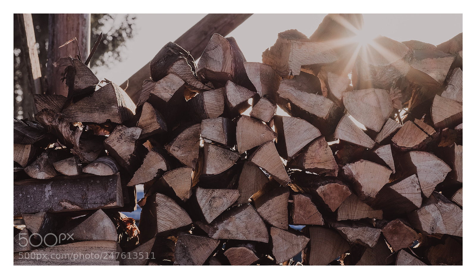Fujifilm X-T10 sample photo. Untitled photography