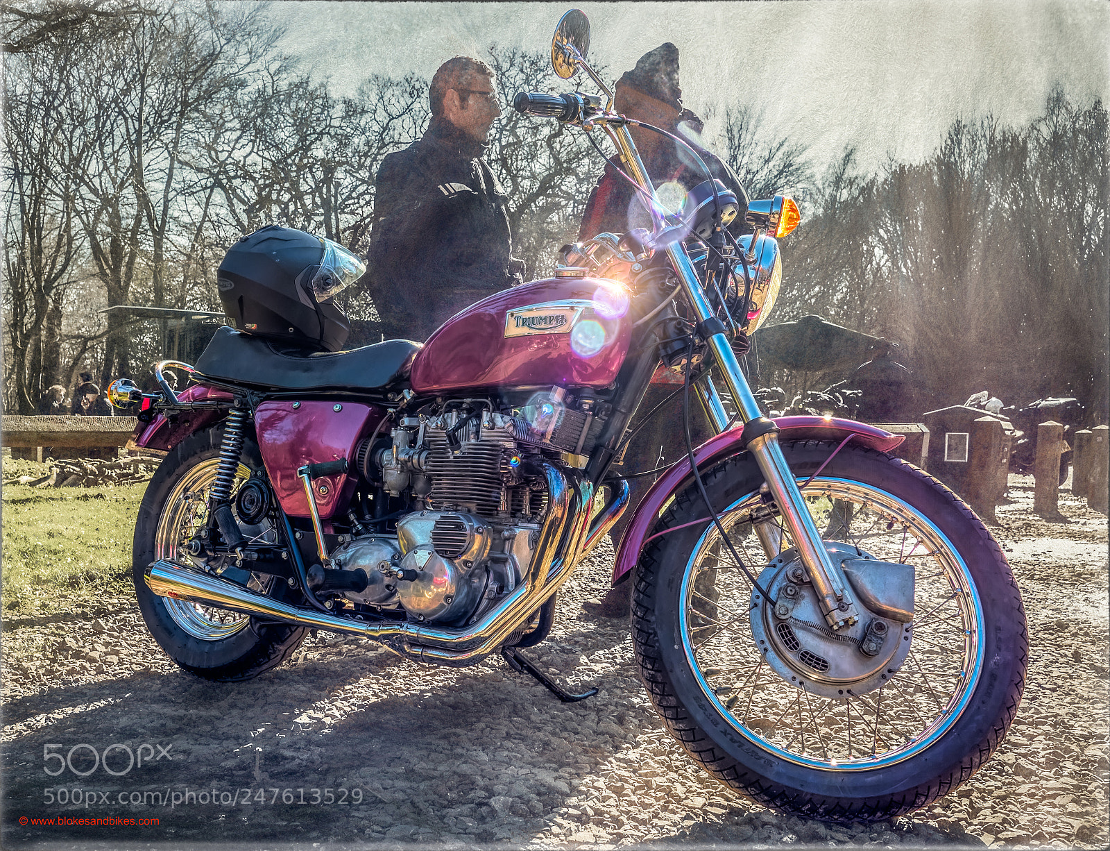 Olympus OM-D E-M1 Mark II sample photo. Forest bikers photography