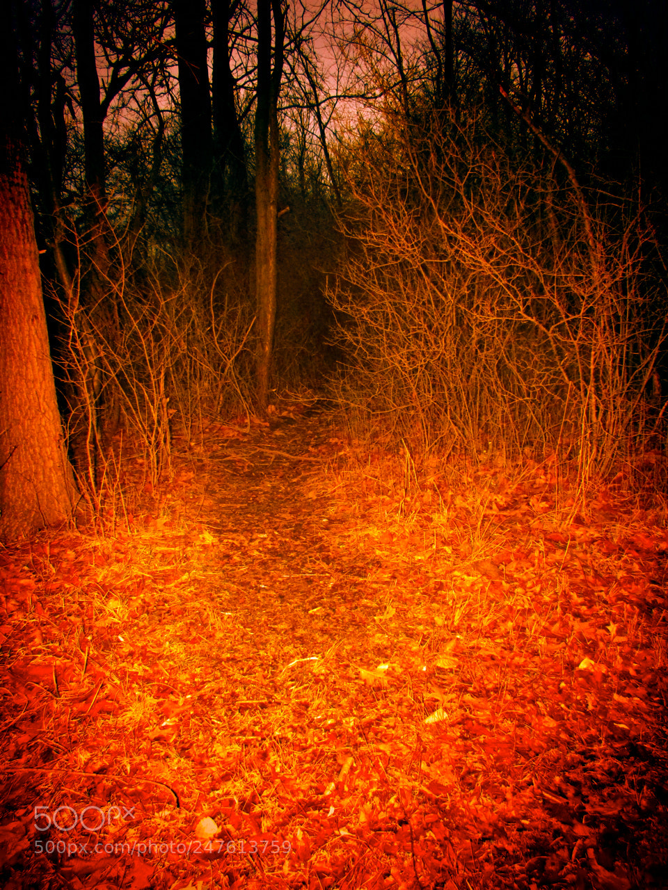 Canon PowerShot SX400 IS sample photo. I exit the inferno photography