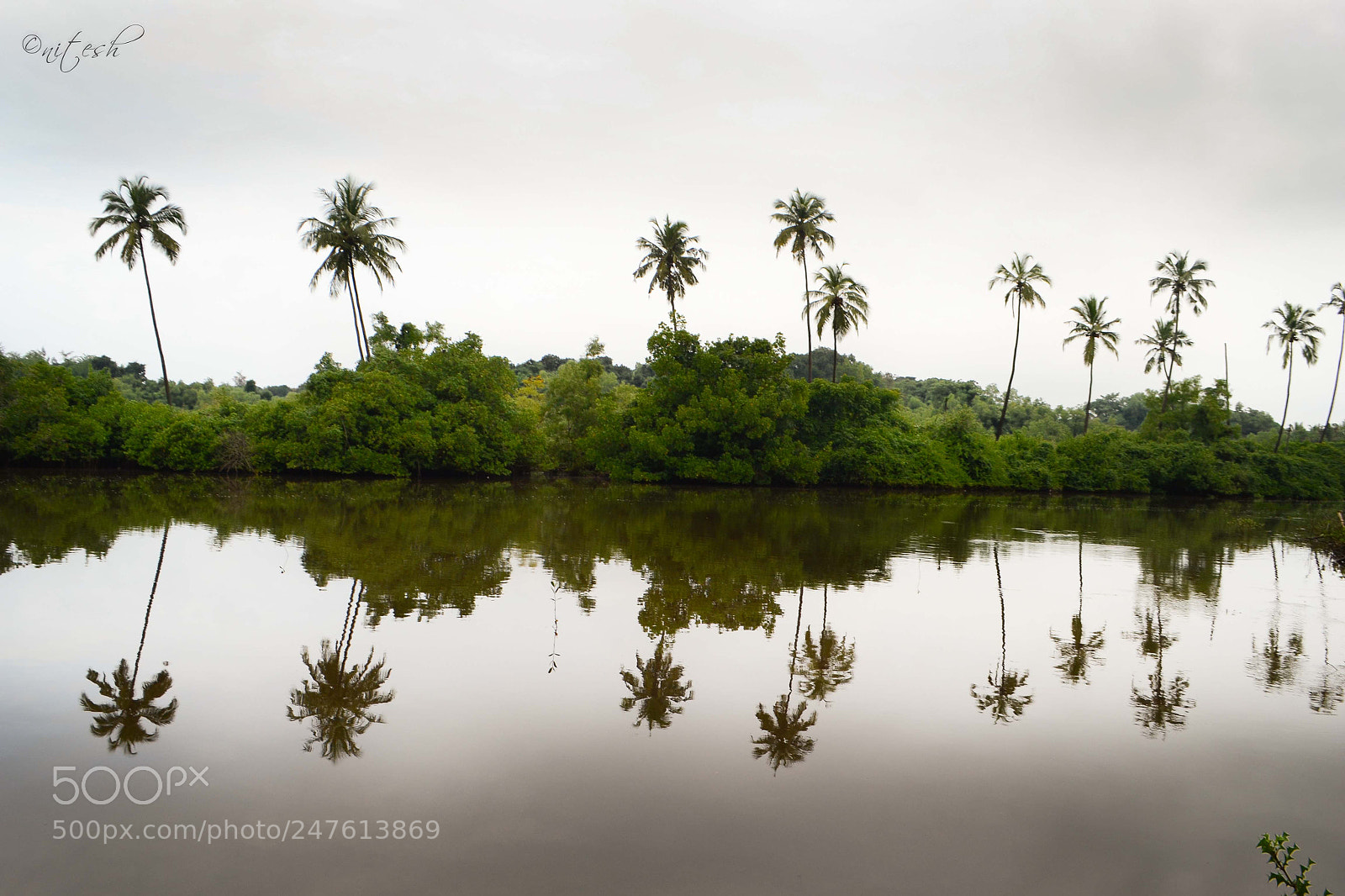 Nikon D3100 sample photo. Mirror photography