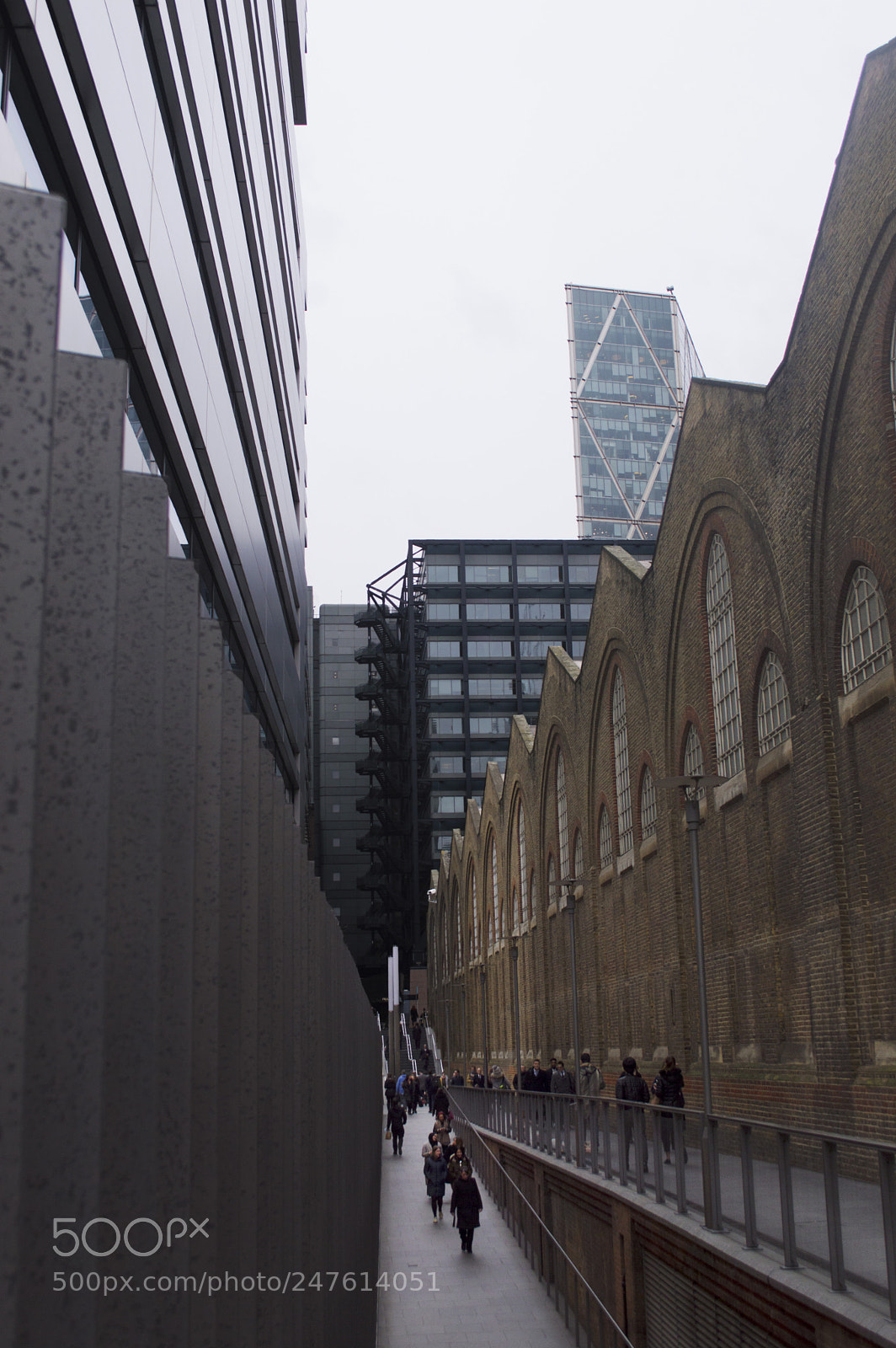 Nikon D3200 sample photo. Long, tall, old and photography