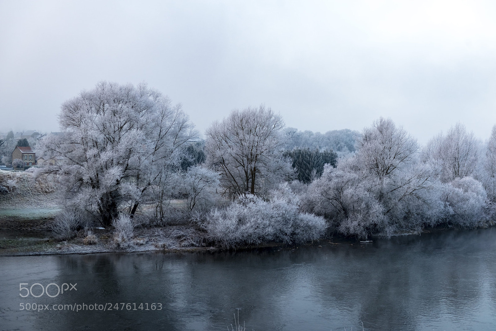 Nikon D800E sample photo. Ham sur meuse sous photography