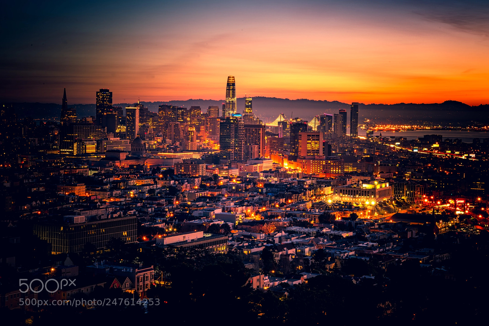 Sony a7R III sample photo. San francisco photography