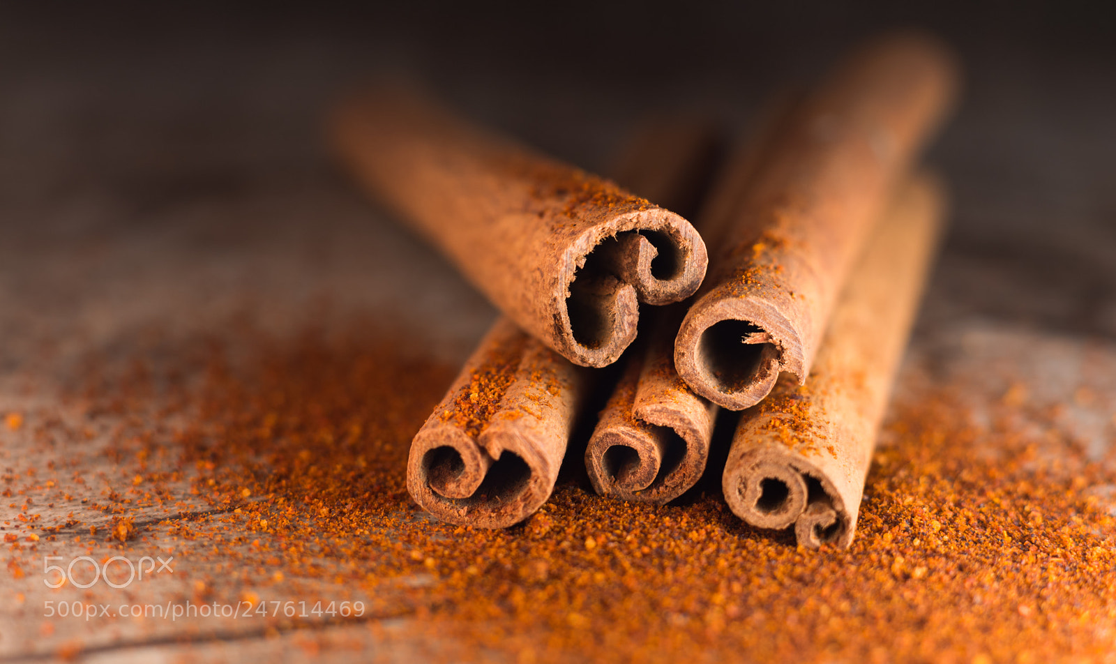 Nikon D7200 sample photo. Cinnamon photography
