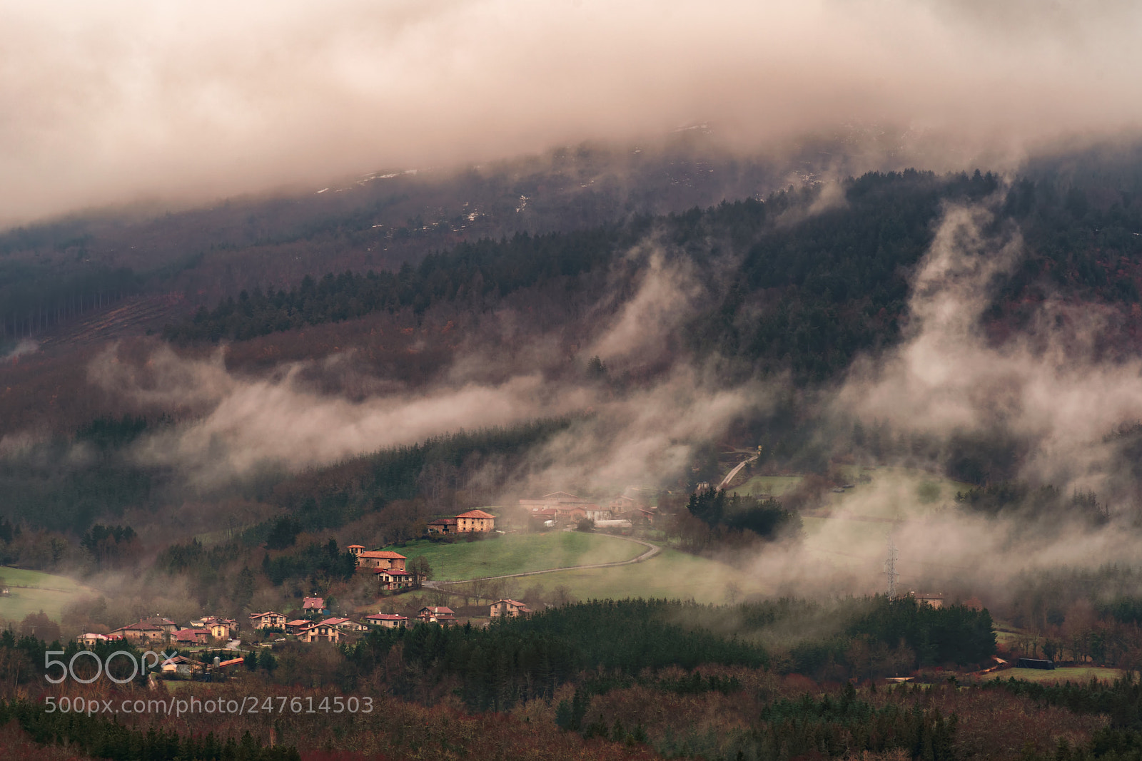 Sony a7R II sample photo. Elgea photography