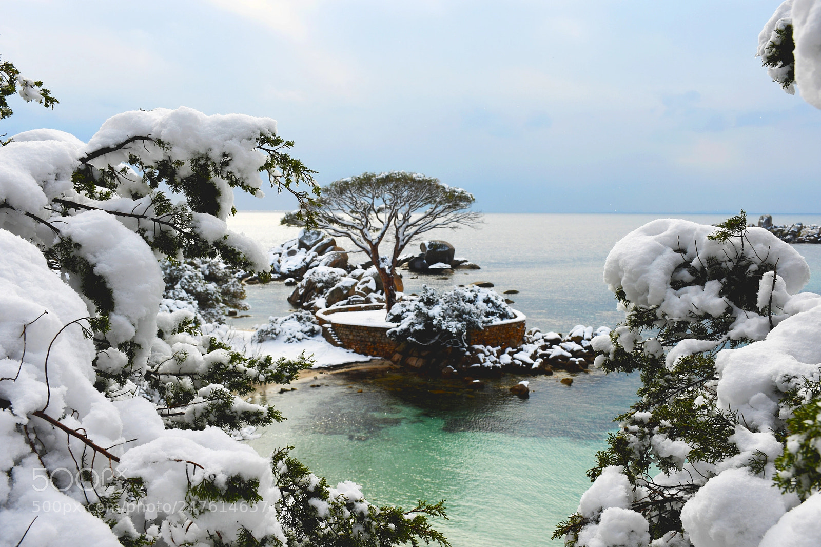 Nikon D7500 sample photo. Vuhautama photography