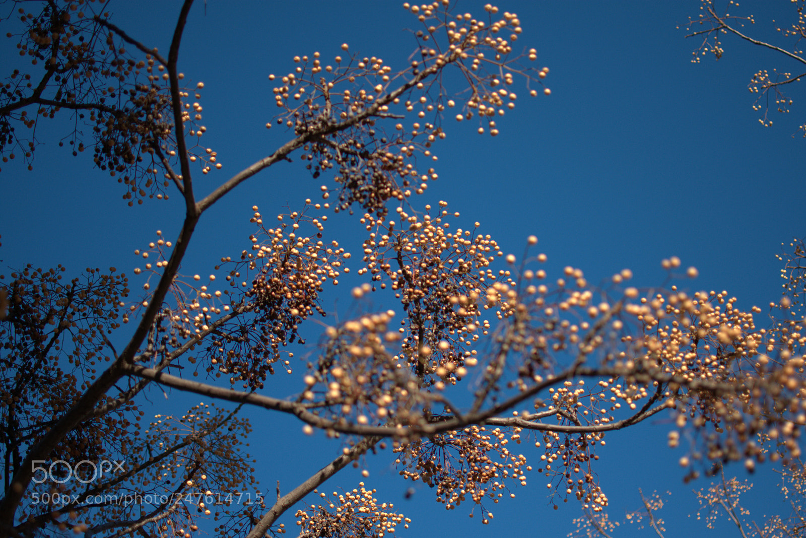 Nikon D3400 sample photo. Unknown photography