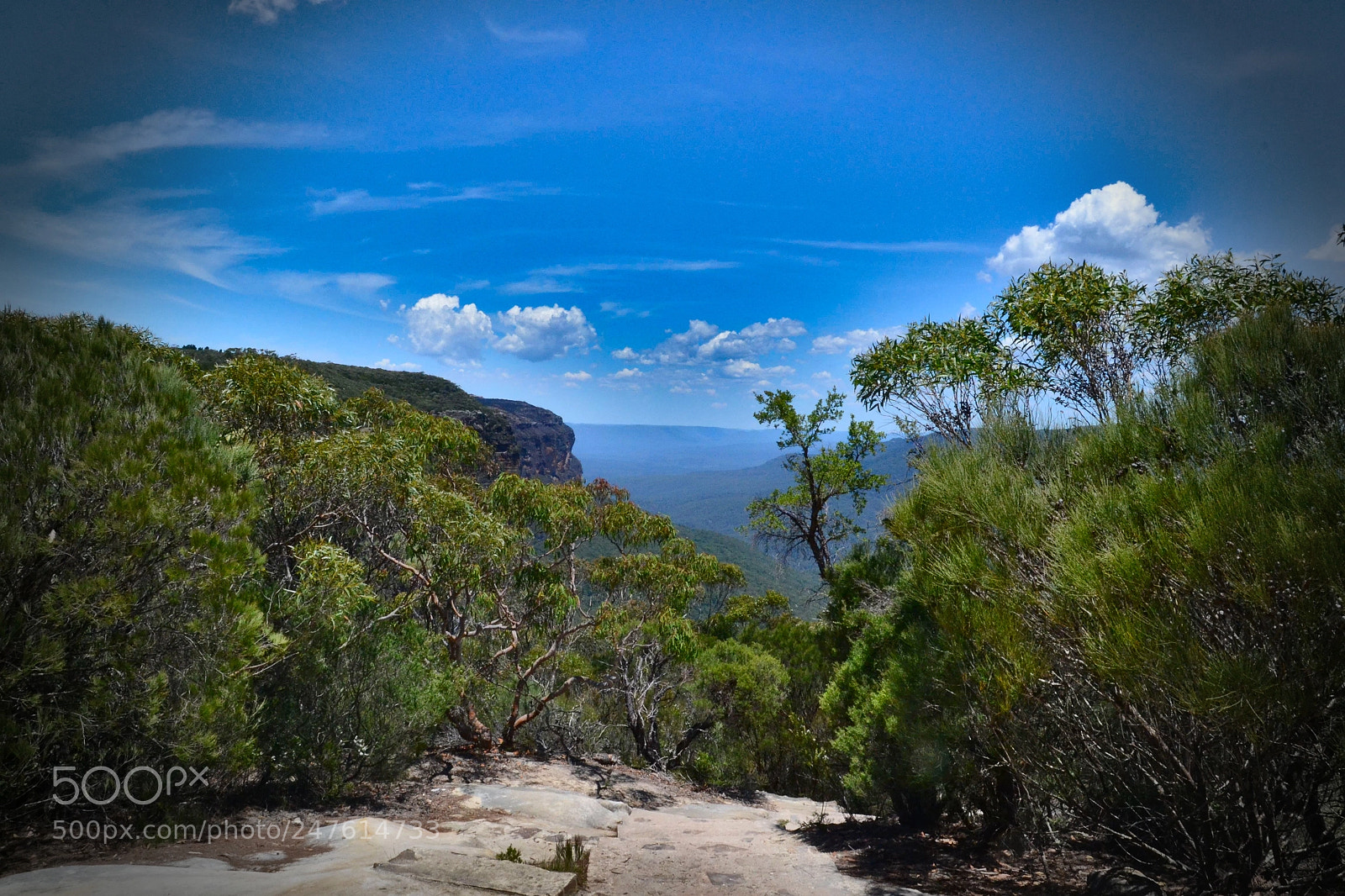 Nikon D3100 sample photo. A corner of paradise photography