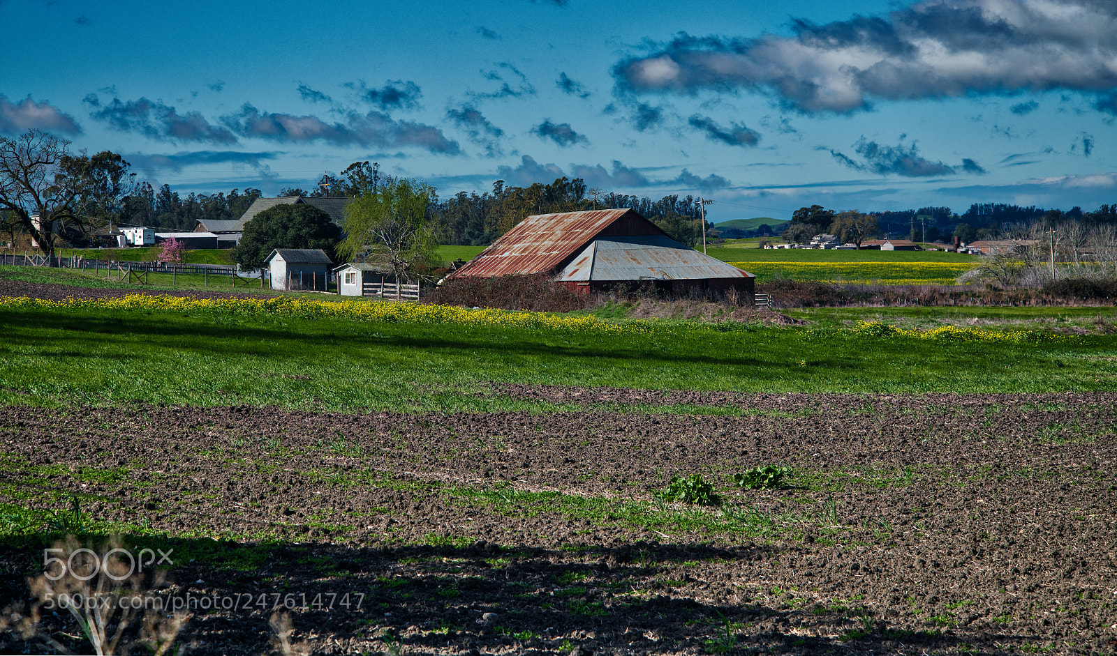 Nikon D850 sample photo. Rural sonoma county photography
