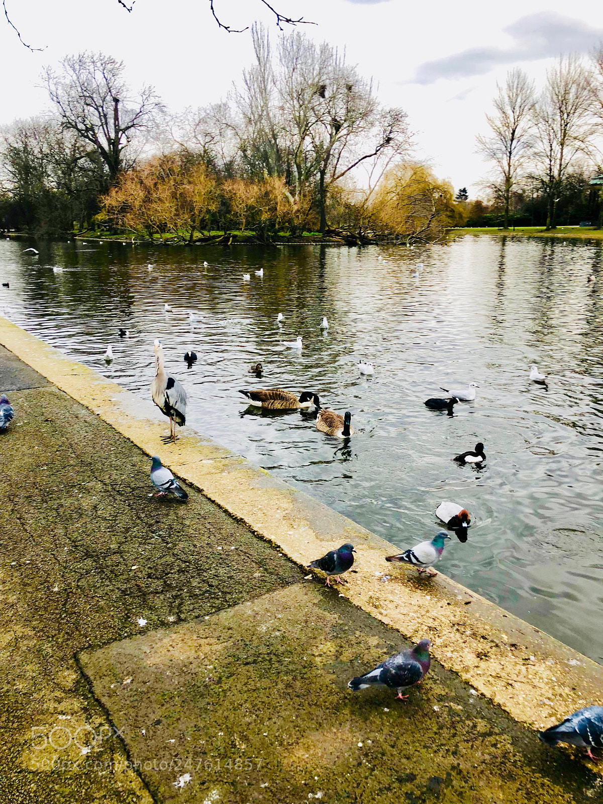 Apple iPhone X sample photo. Untitled photography