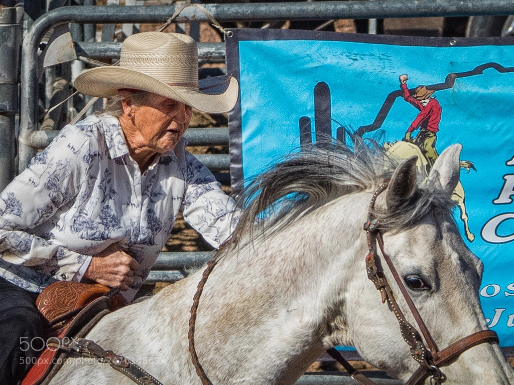 Olympus OM-D E-M5 II sample photo. You're never too old photography