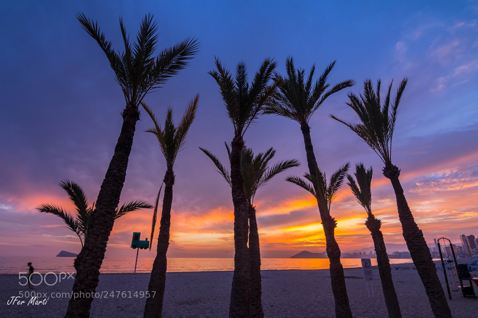 Canon EOS 60D sample photo. Palmeras al atardecer photography