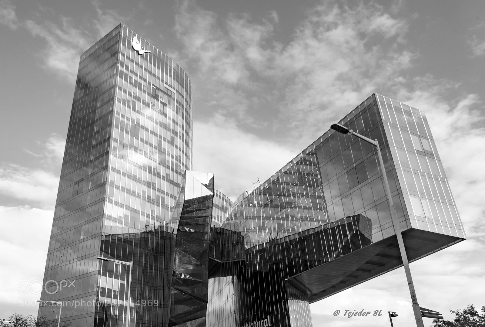 Nikon D500 sample photo. _lts5617--.jpg photography