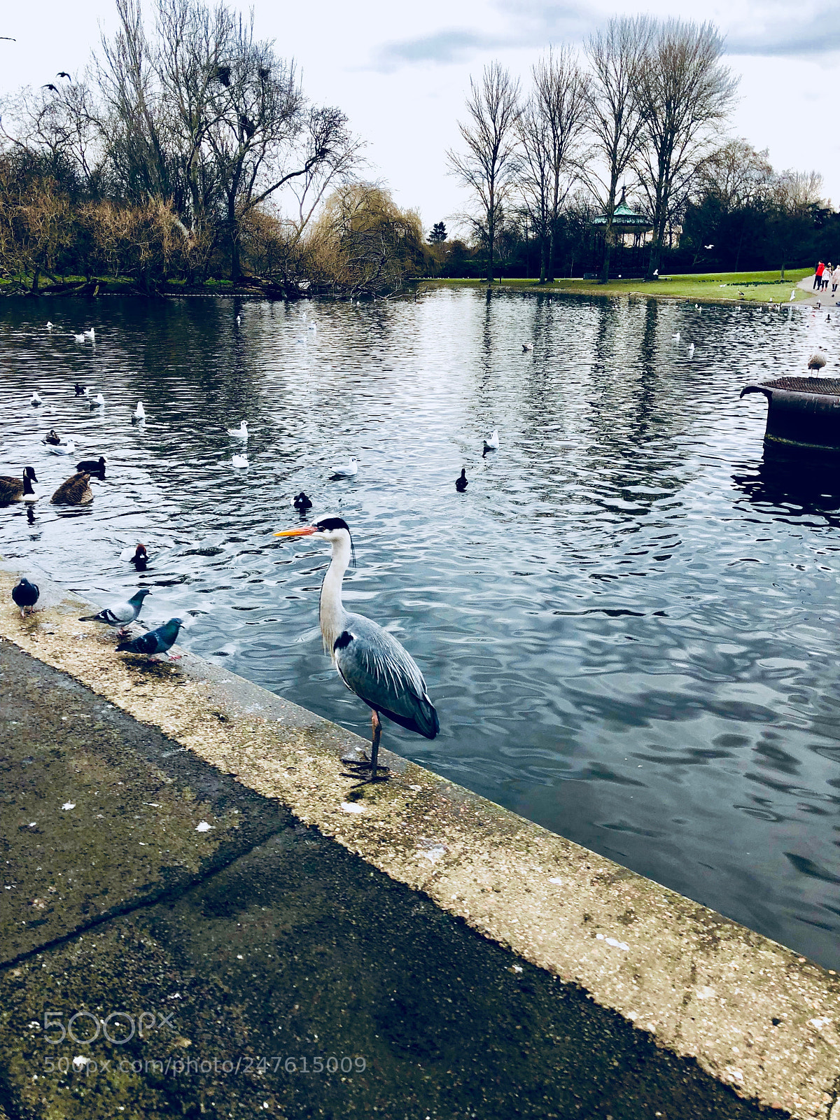 Apple iPhone X sample photo. Untitled photography