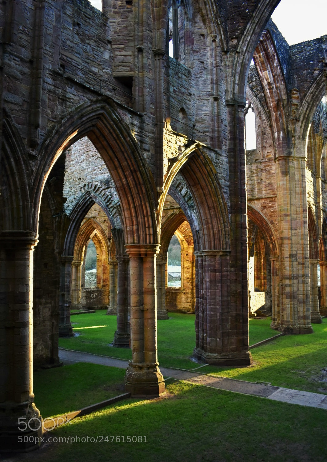 Nikon D3400 sample photo. Tintern abbey photography