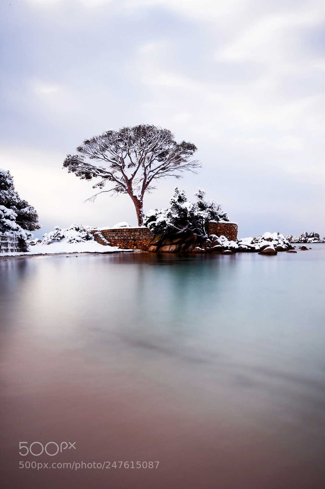 Nikon D7500 sample photo. Tama photography