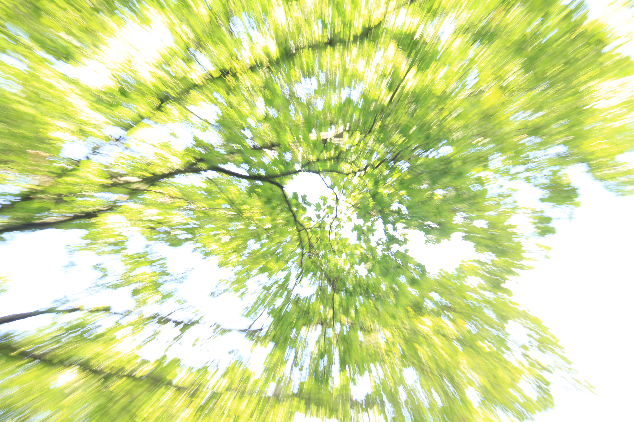 Canon EF-S 18-200mm F3.5-5.6 IS sample photo. Inspired by van gogh strokes photography