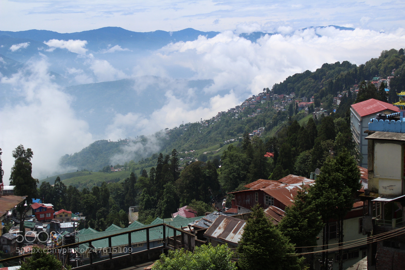 Canon EOS 1300D (EOS Rebel T6 / EOS Kiss X80) sample photo. Queen of hills photography