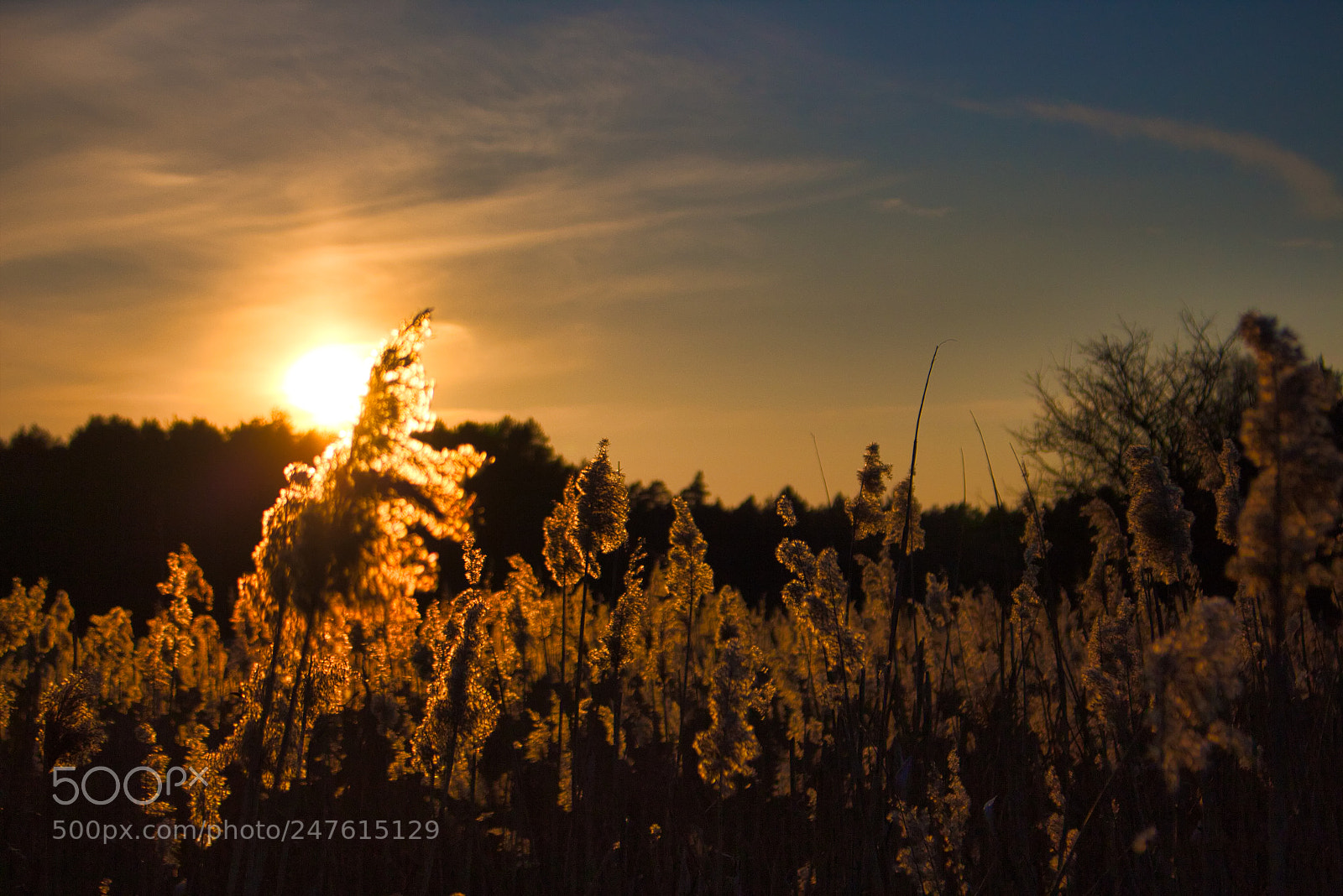 Canon EOS 700D (EOS Rebel T5i / EOS Kiss X7i) sample photo. Rodenbach bruch sonnenuntergang photography