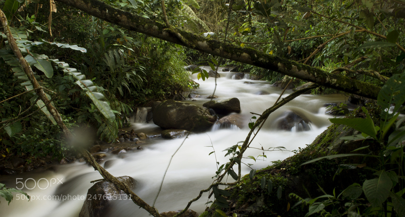 Nikon D5100 sample photo. Miraflores paramo photography