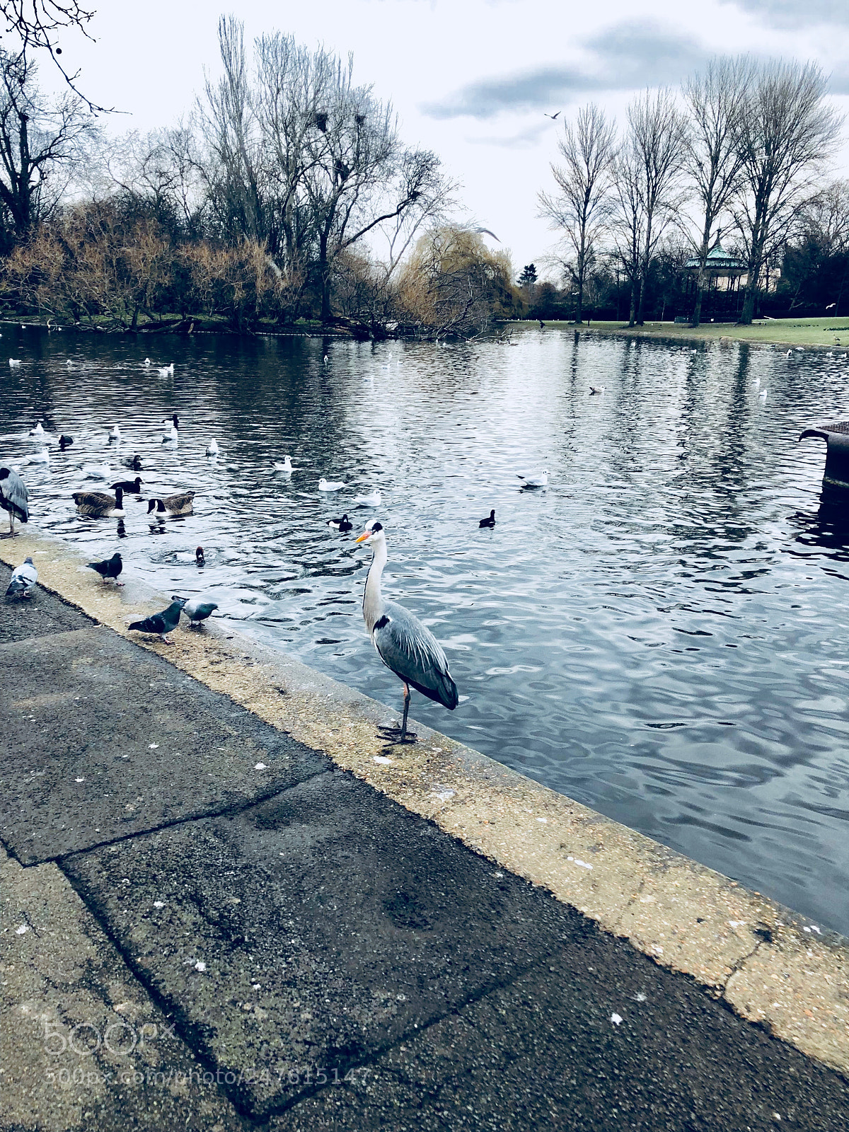 Apple iPhone X sample photo. Untitled photography
