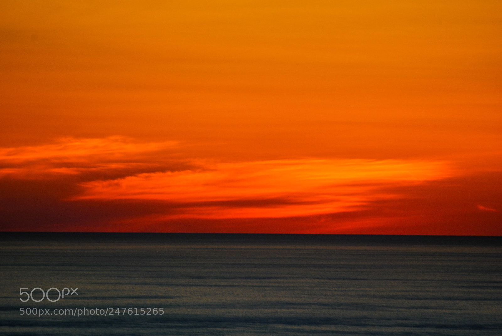 Nikon D3000 sample photo. Summer bilayer photography