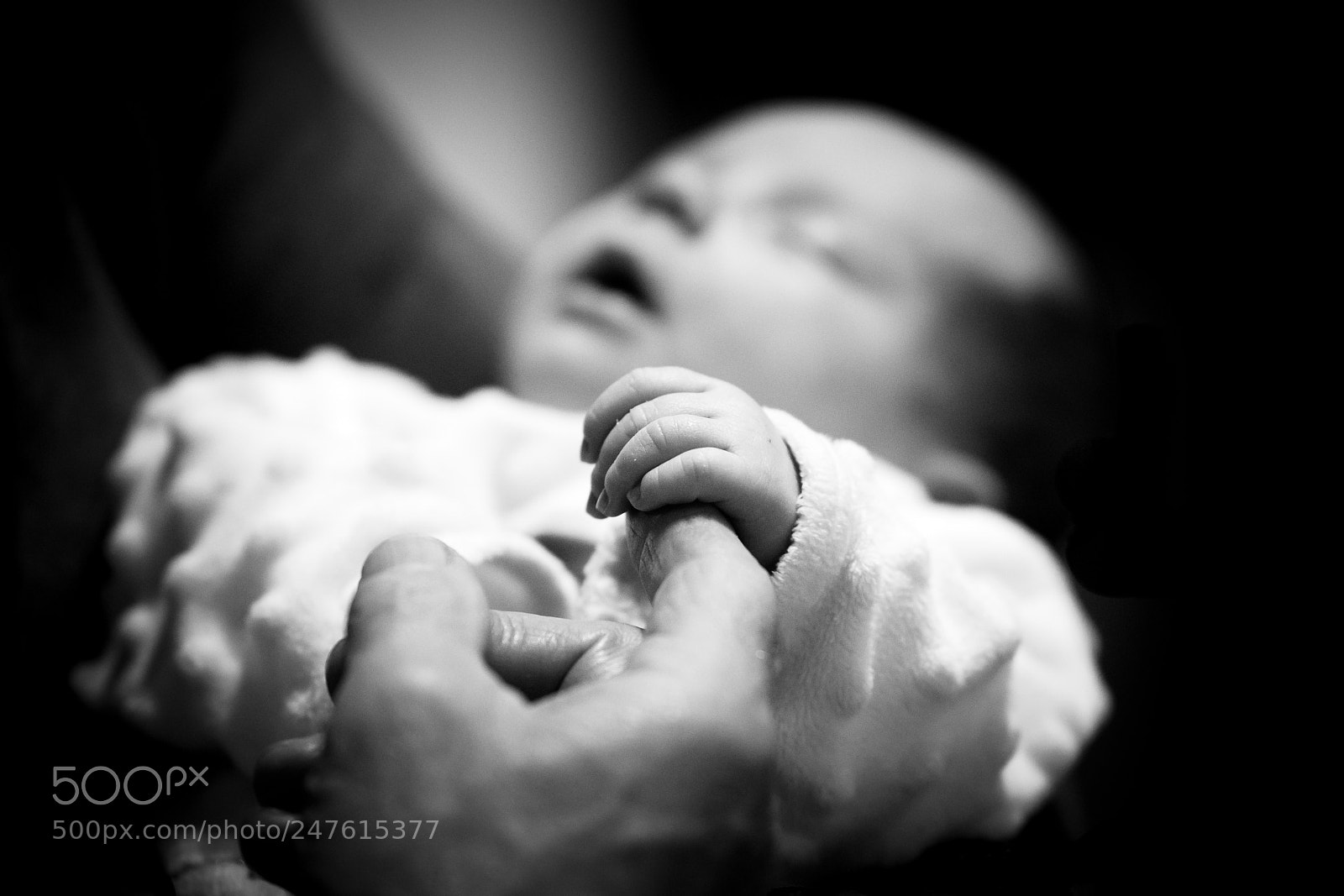 Nikon D7200 sample photo. Hand in hand photography