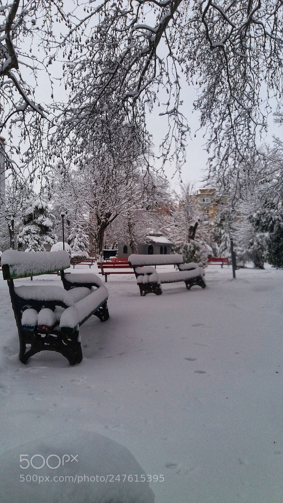 Samsung Galaxy J5 sample photo. In the snow photography