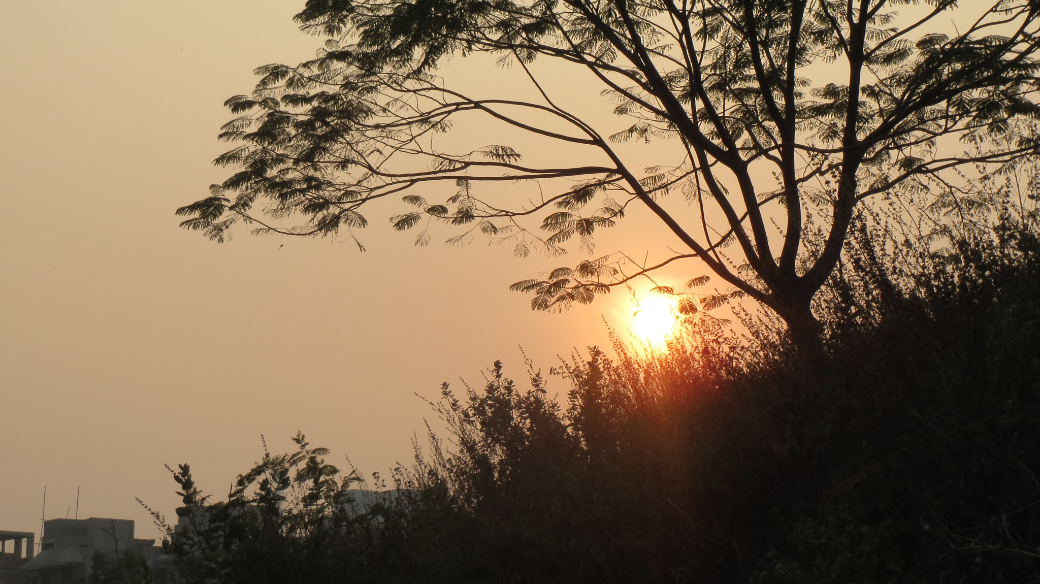 Canon PowerShot ELPH 530 HS (IXUS 510 HS / IXY 1) sample photo. Sunset in india photography