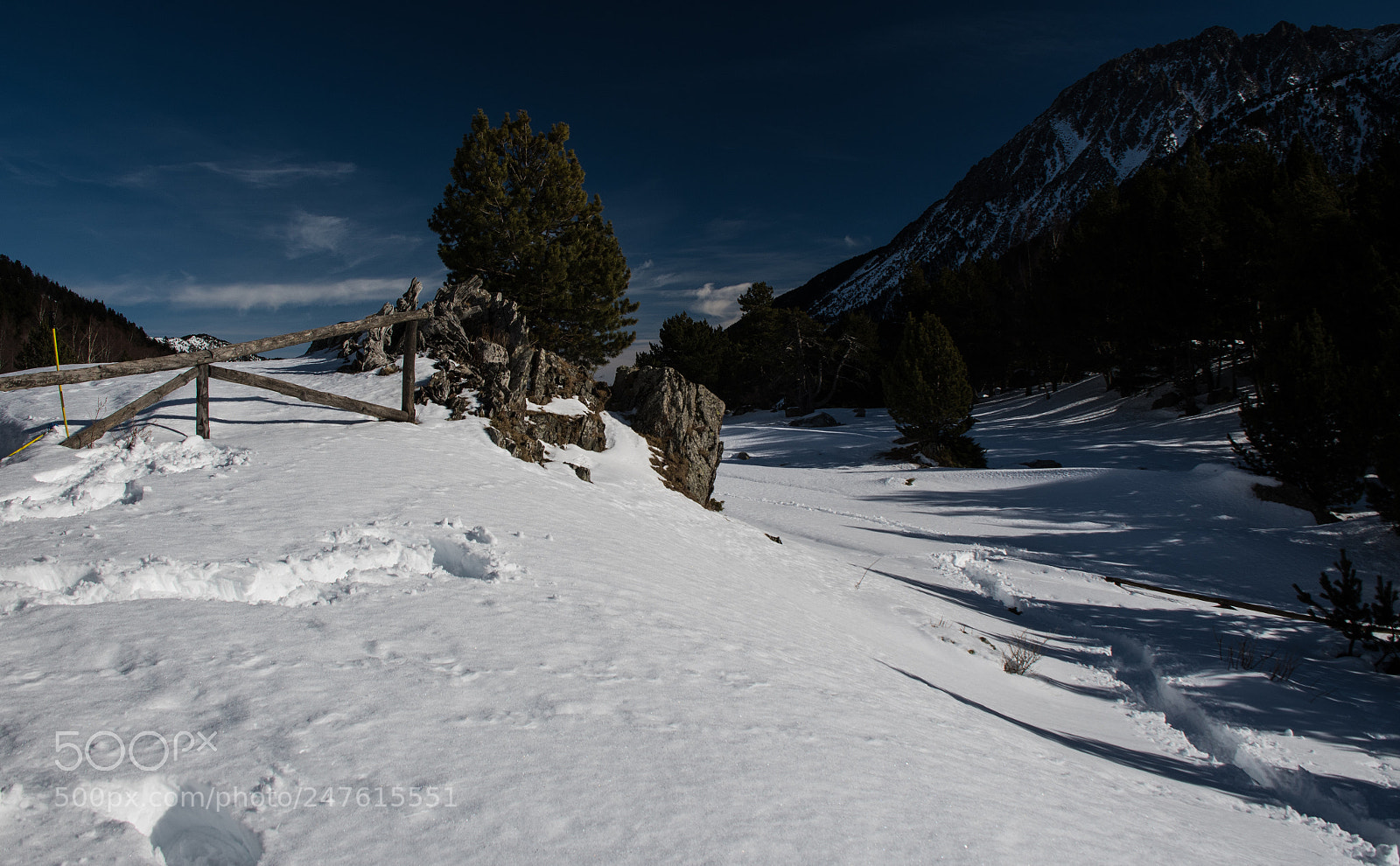 Nikon D7500 sample photo. A quite place photography