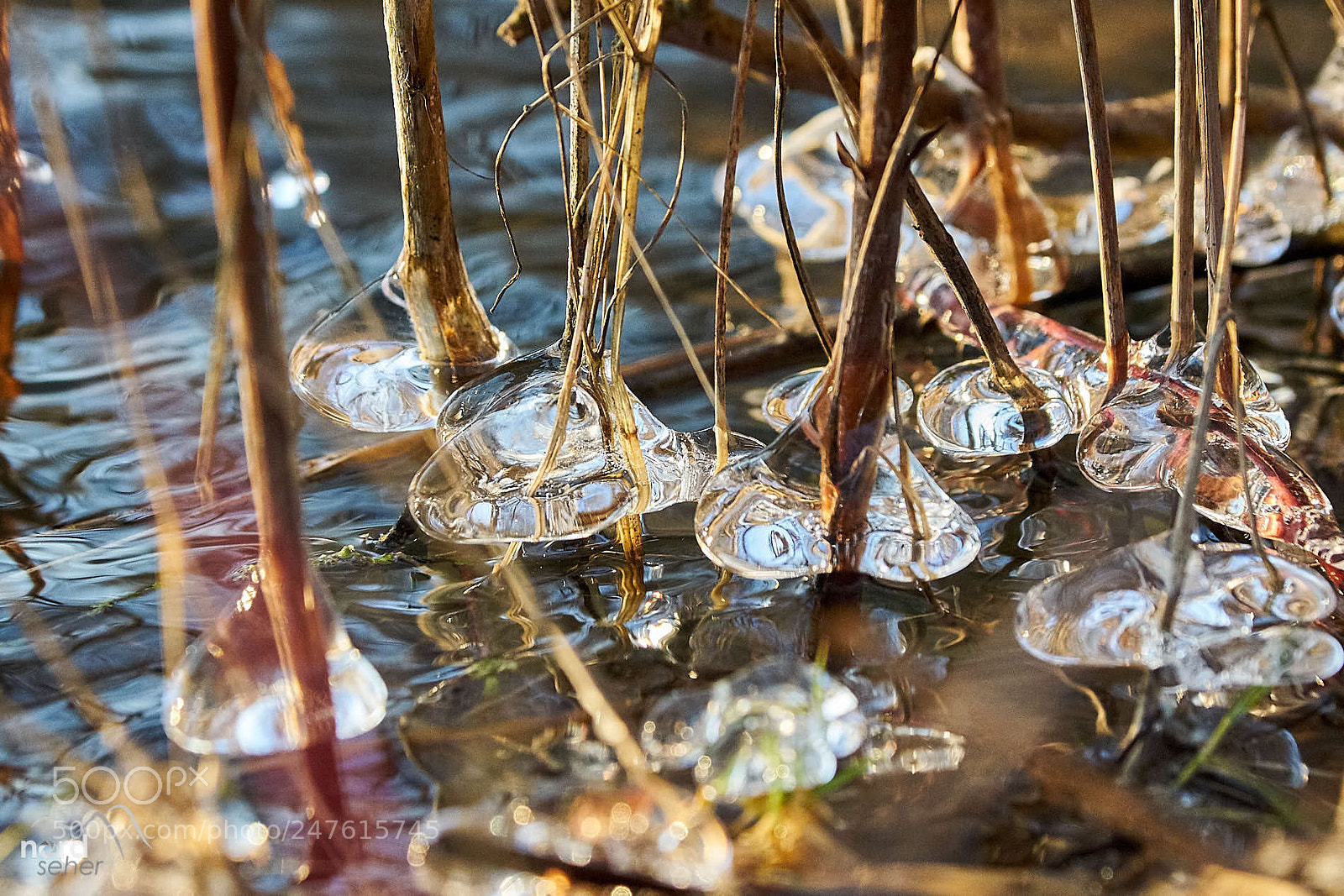 Sony ILCA-77M2 sample photo. Es war eiskalt photography