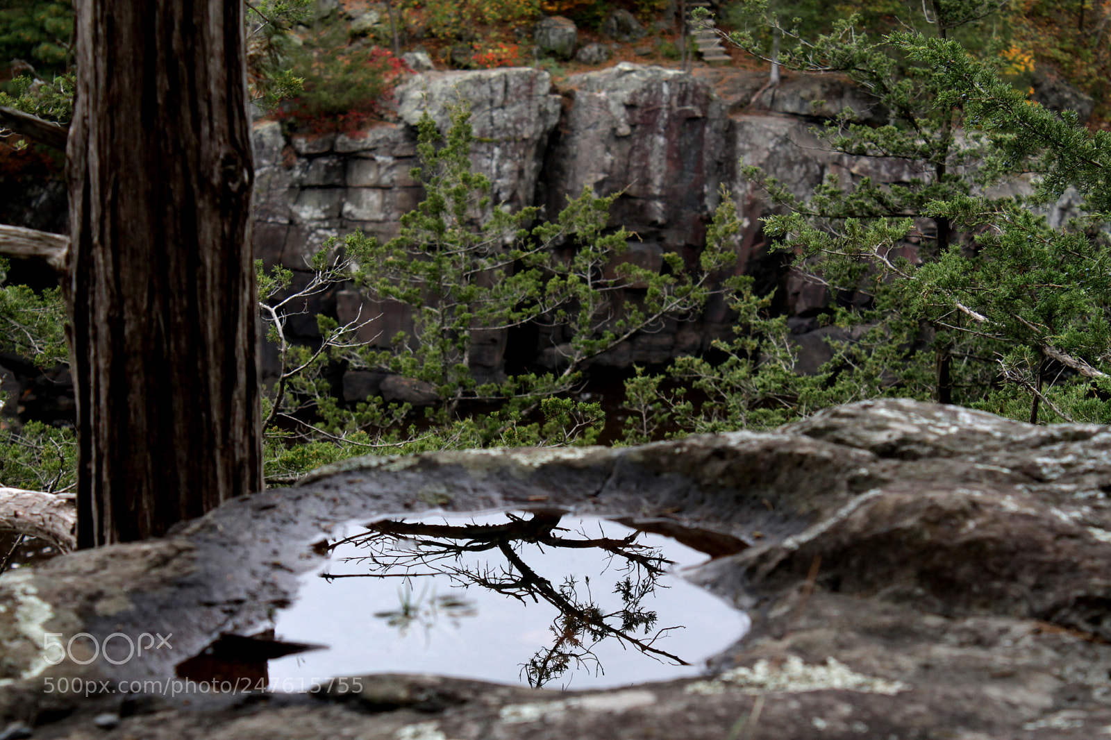 Canon EOS 1100D (EOS Rebel T3 / EOS Kiss X50) sample photo. Puddle cliff photography