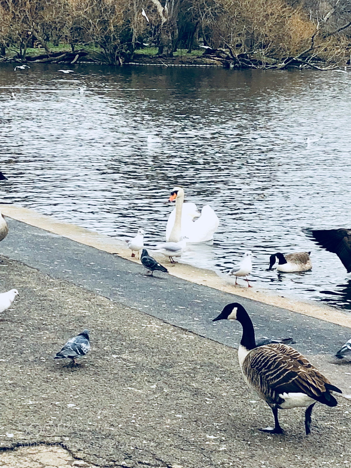 Apple iPhone X sample photo. Untitled photography