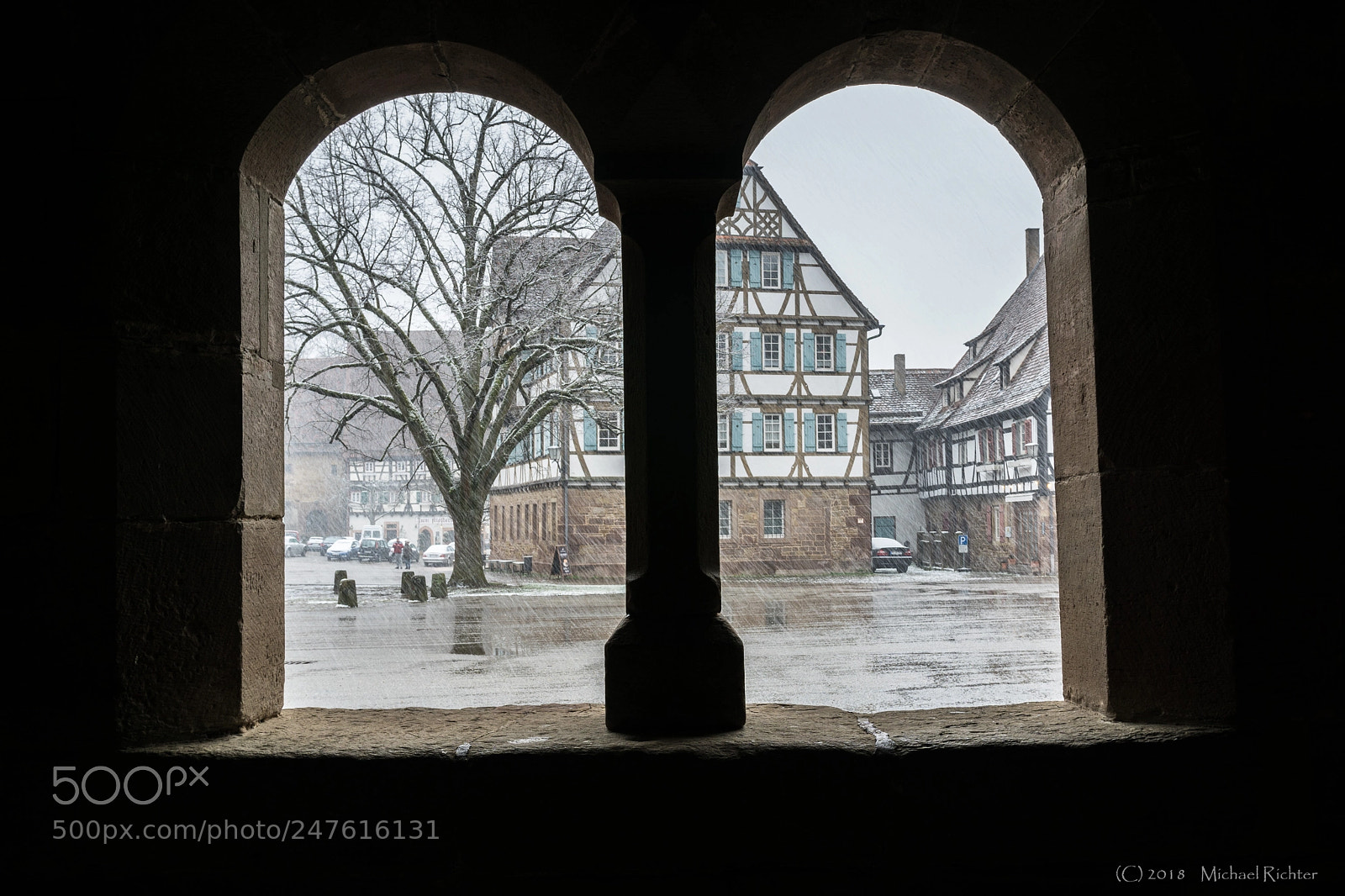 Sony ILCA-77M2 sample photo. Snowy winterday photography
