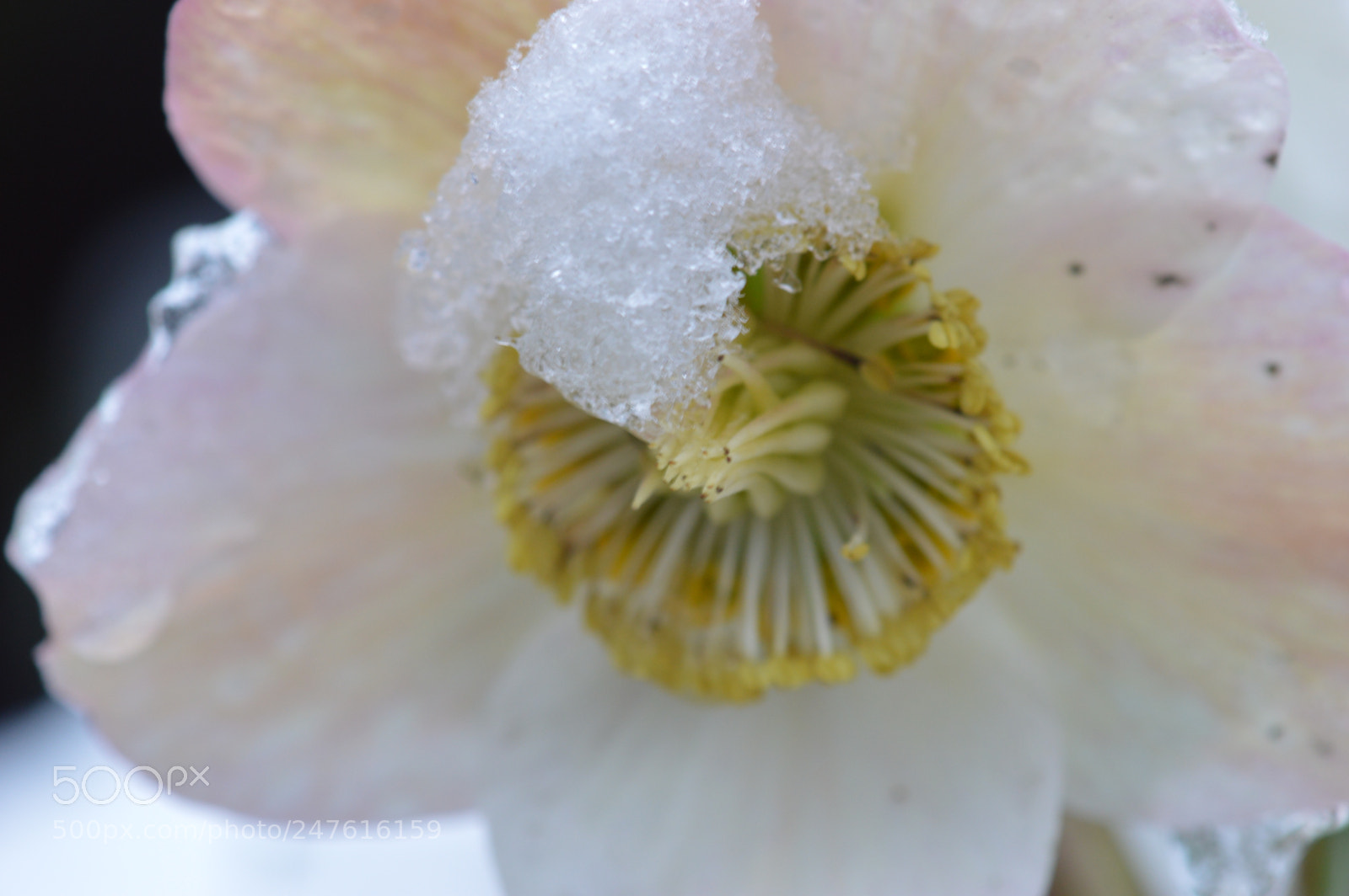 Nikon D3200 sample photo. Have a great evening photography
