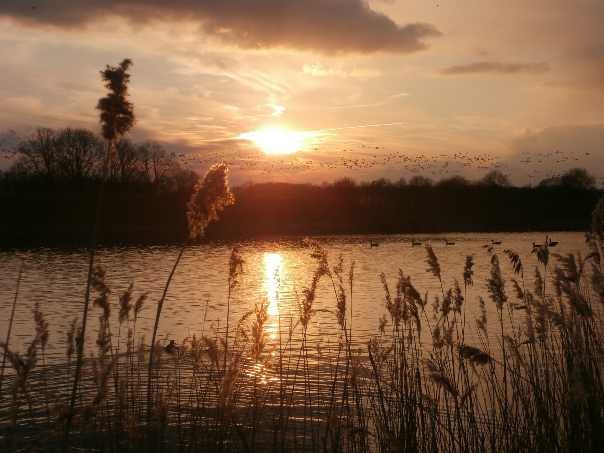 Olympus VR340,D750 sample photo. Oude ijssel photography