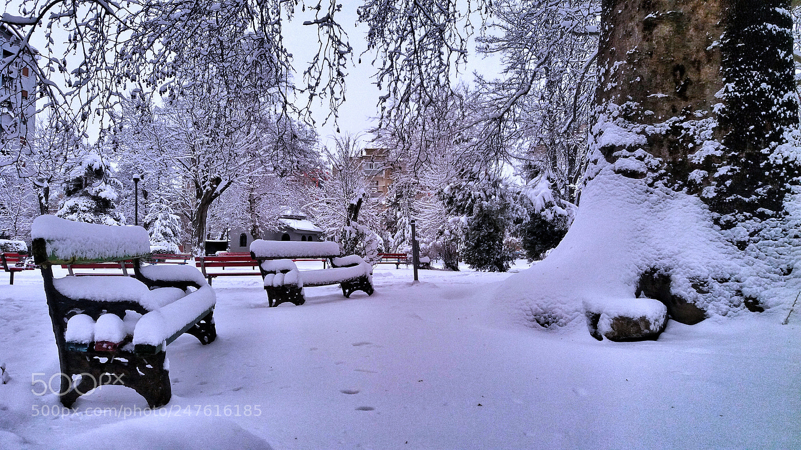 Samsung Galaxy J5 sample photo. On the old park photography