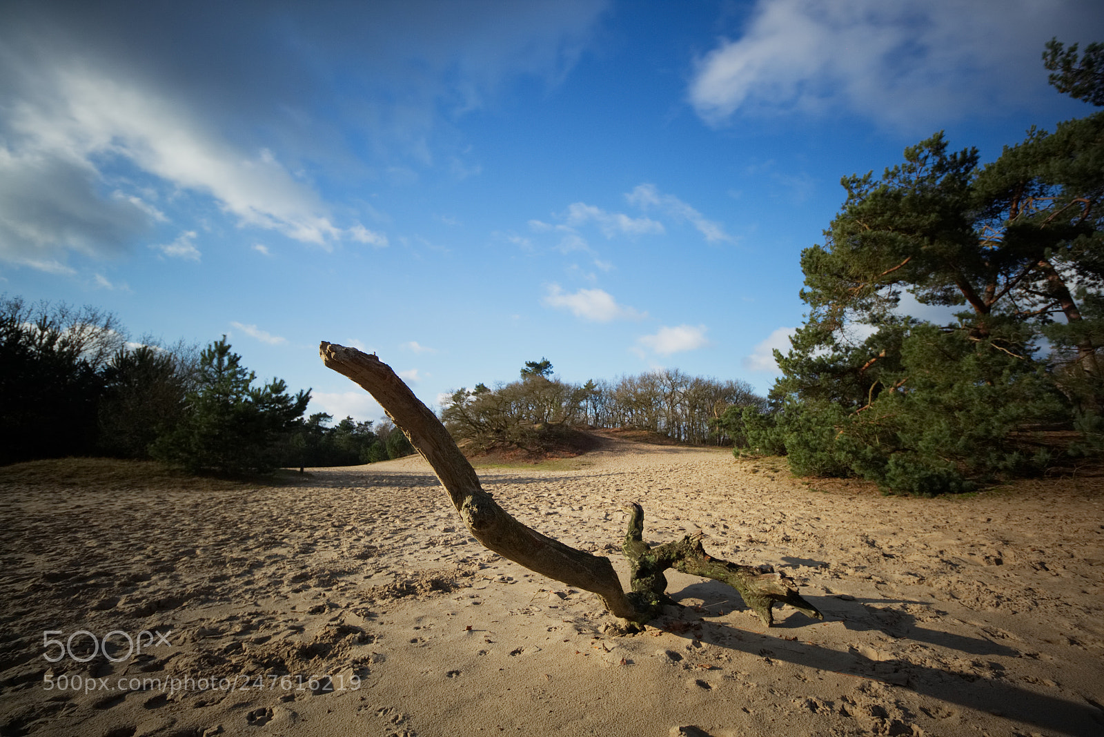Canon EOS 700D (EOS Rebel T5i / EOS Kiss X7i) sample photo. Loonse & drunense duinen photography