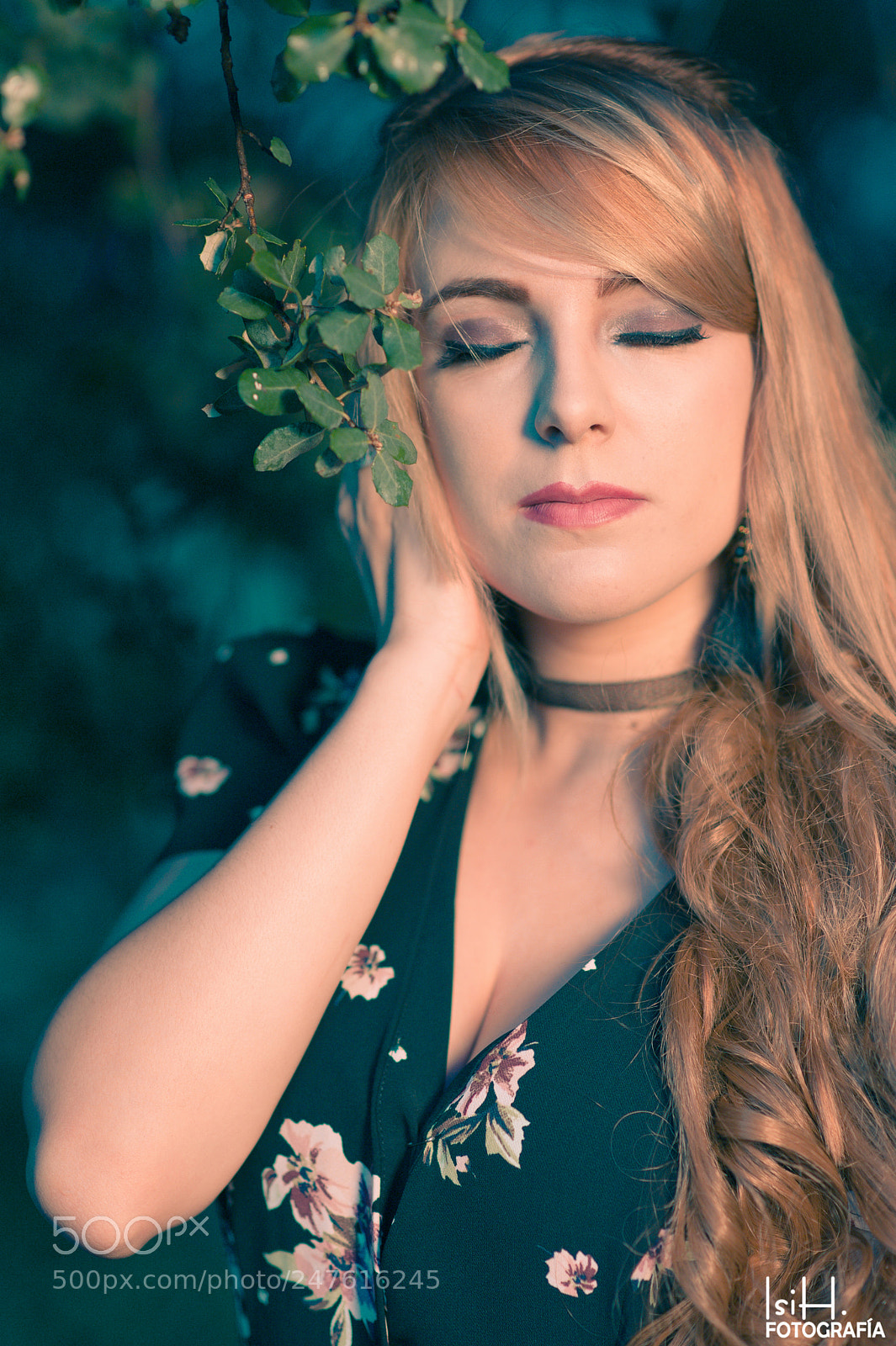 Nikon D700 sample photo. Sunset time photography