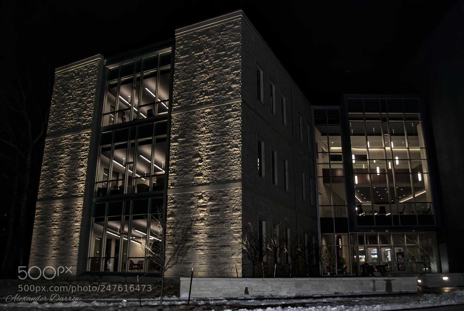Nikon D60 sample photo. College of business at photography