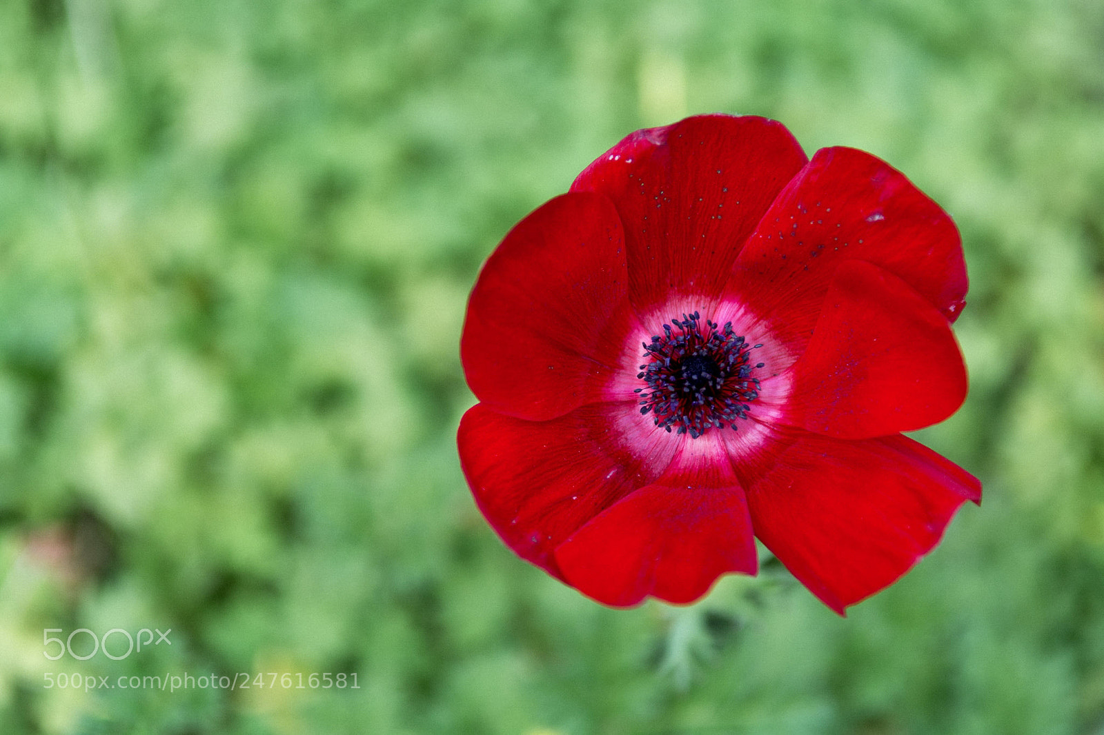 Nikon D7100 sample photo. Untitled photography