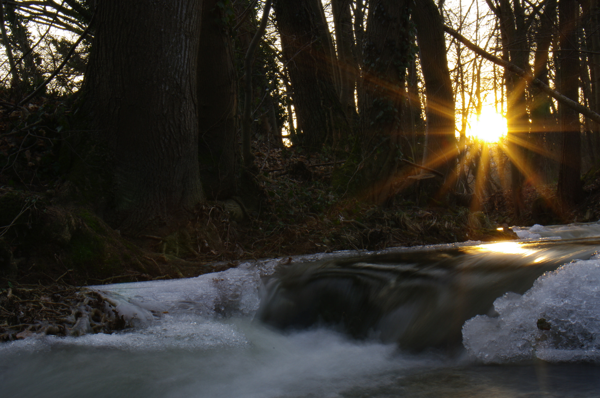 Pentax K20D + Sigma Lens (8 255) sample photo. L'ehn photography