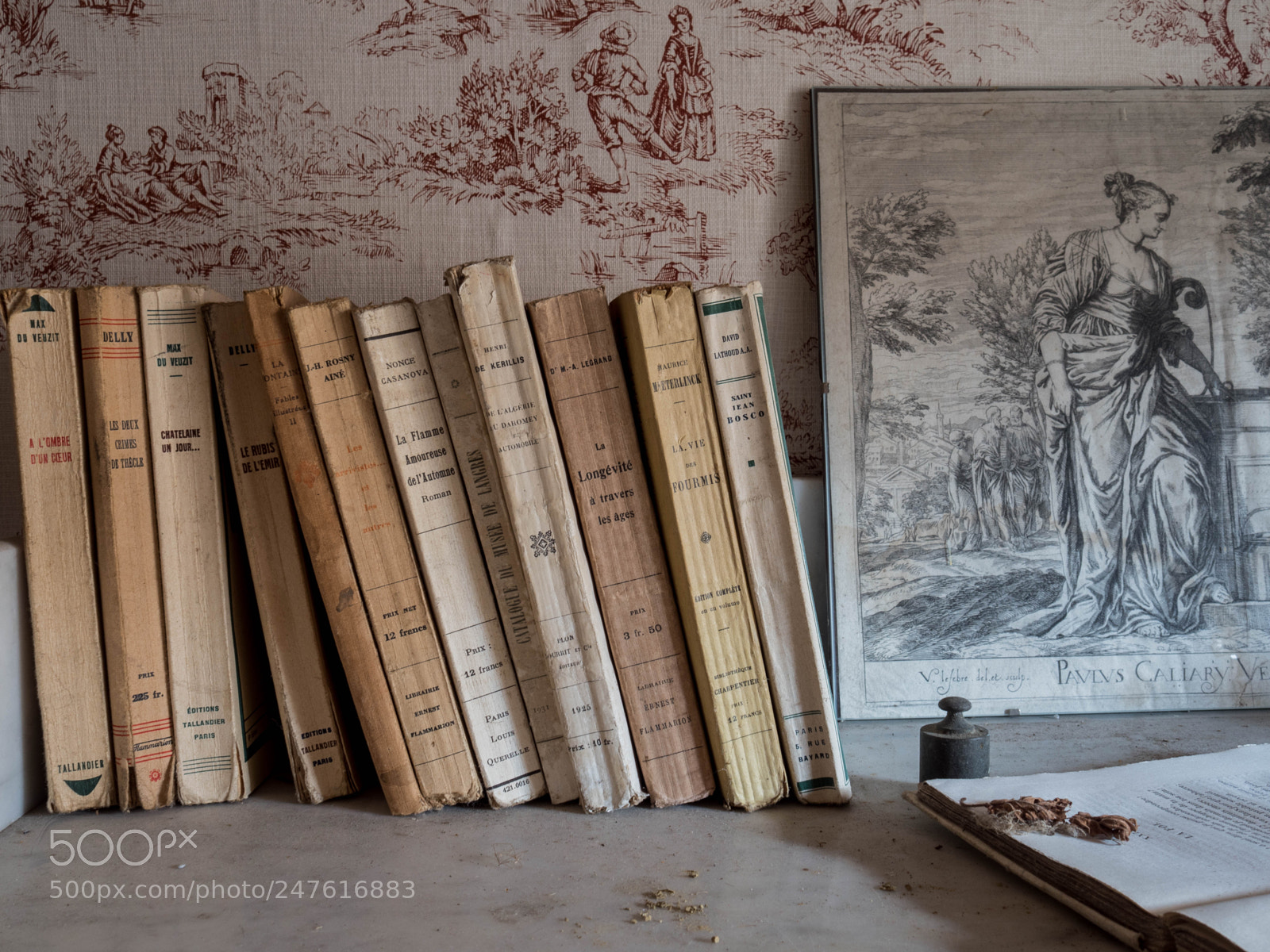 Olympus PEN-F sample photo. Chateau marianne [fr] photography