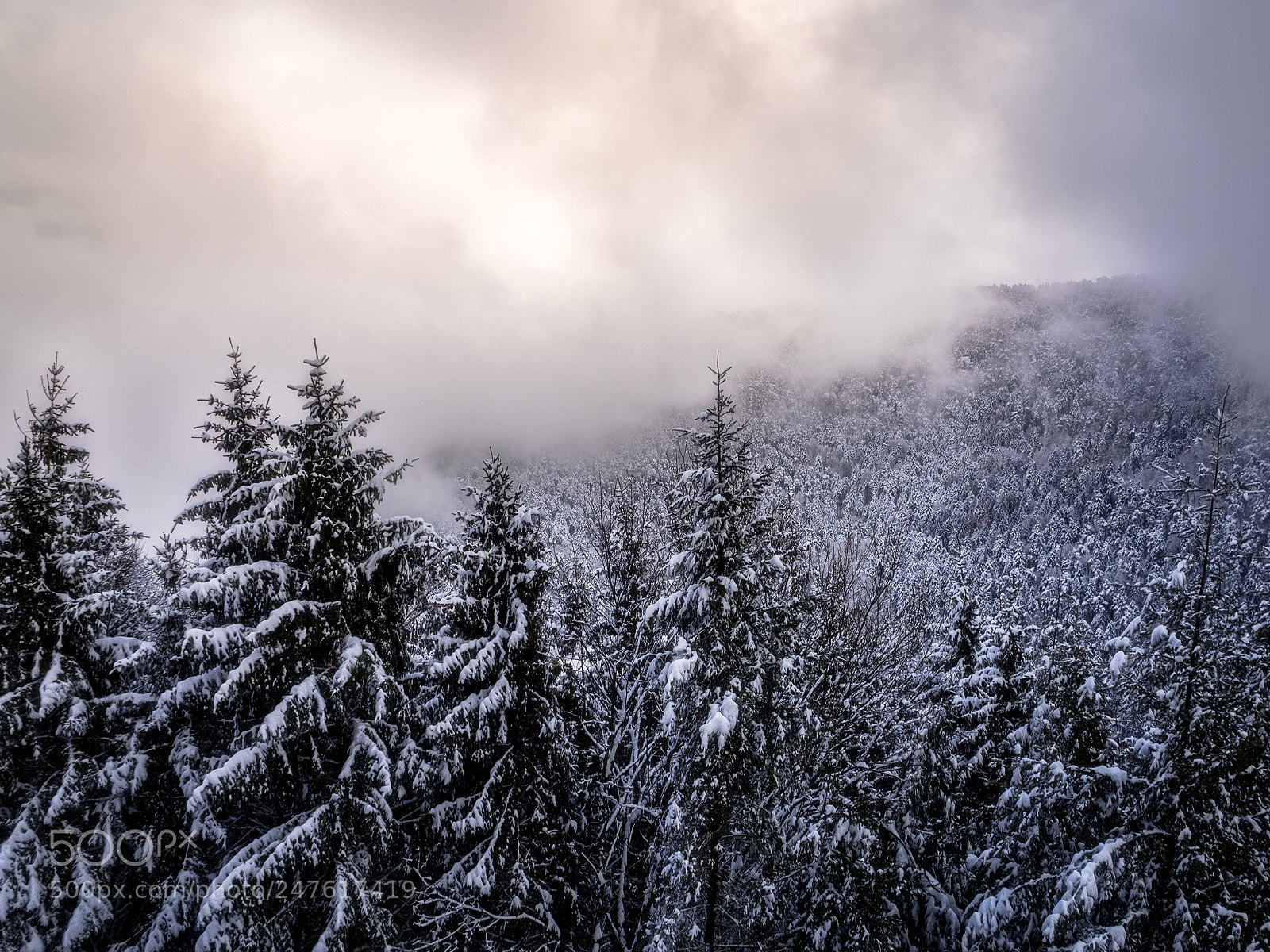 Olympus OM-D E-M5 II sample photo. Winter's tale photography