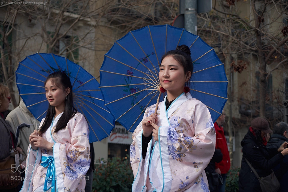 Nikon D7500 sample photo. Chinese new year 2018 photography