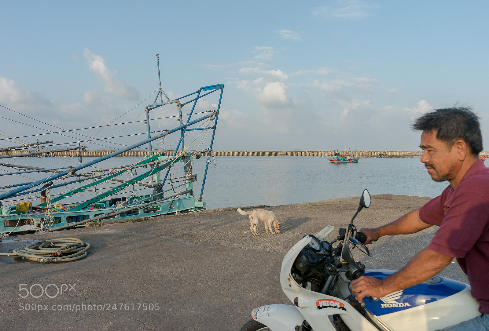 Sony a7 II sample photo. Untitled photography